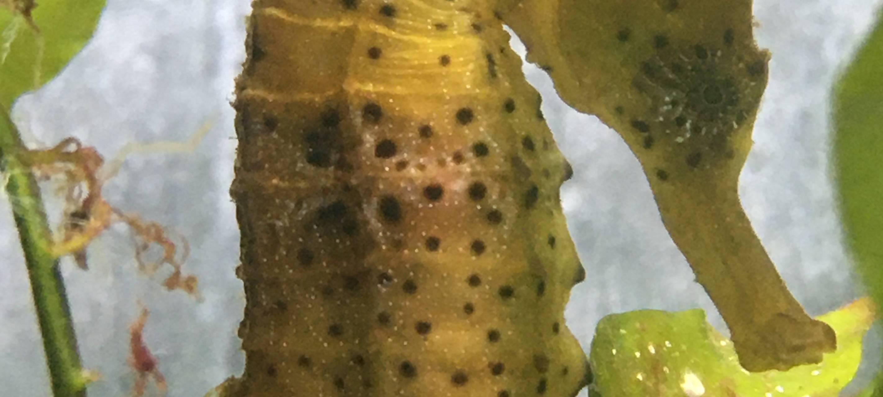 Zuchterfolg im Allwetterzoo