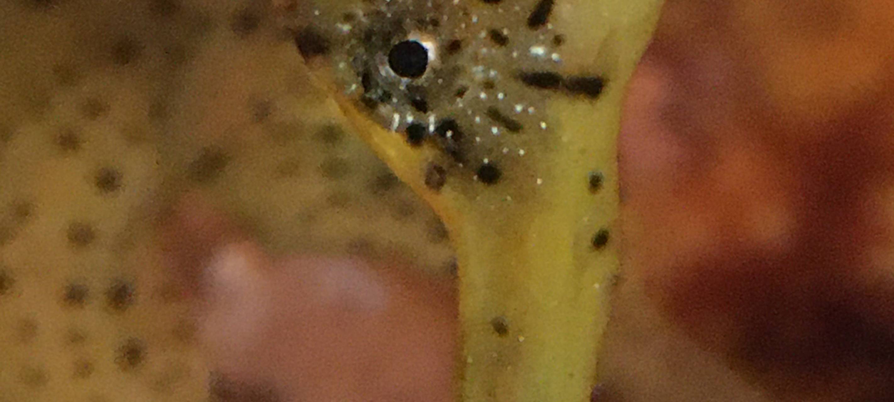 Zuchterfolg im Allwetterzoo