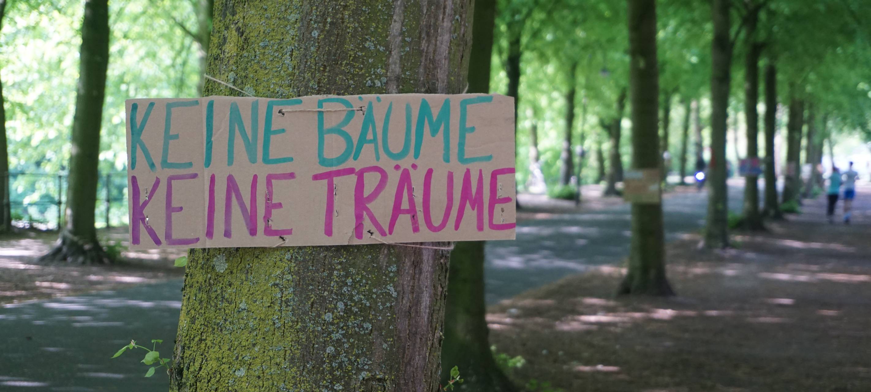 Fridays for Future streikt im Netz und mit Plakaten auf der Promenade