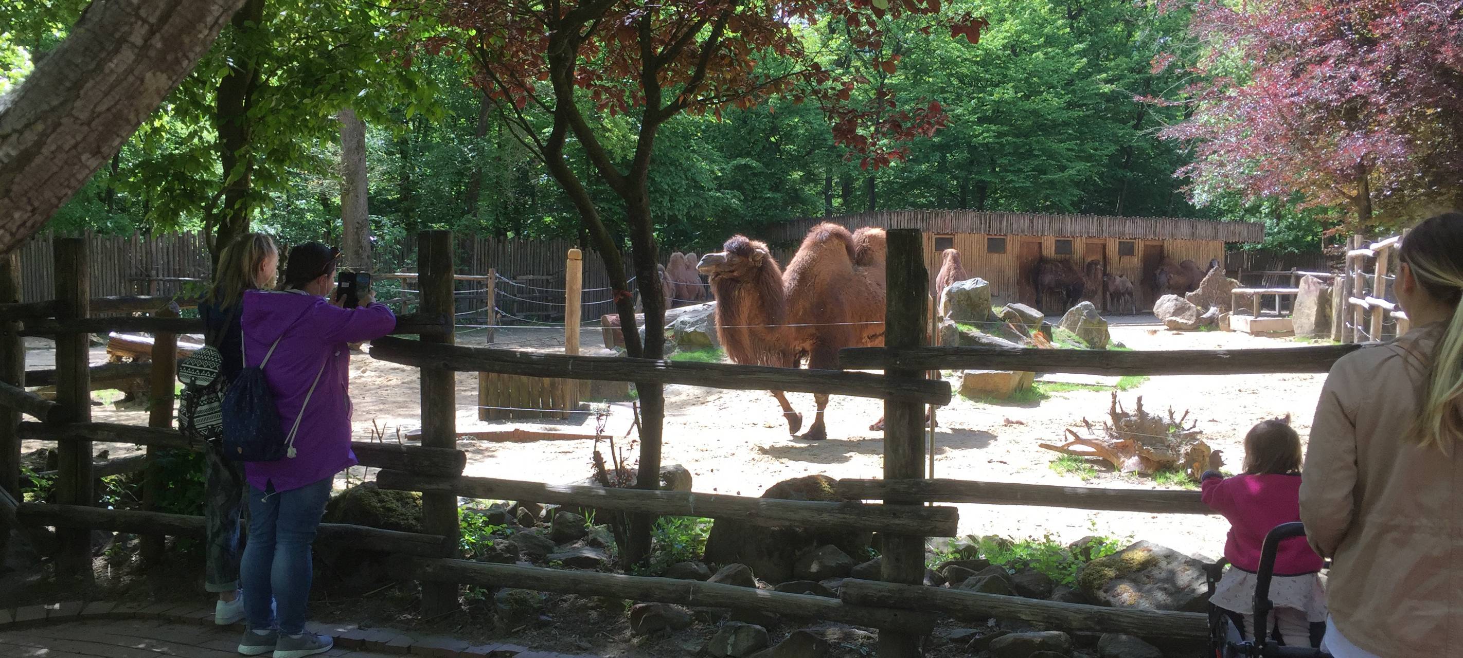 Corona-Hilfen für Allwetterzoo Münster