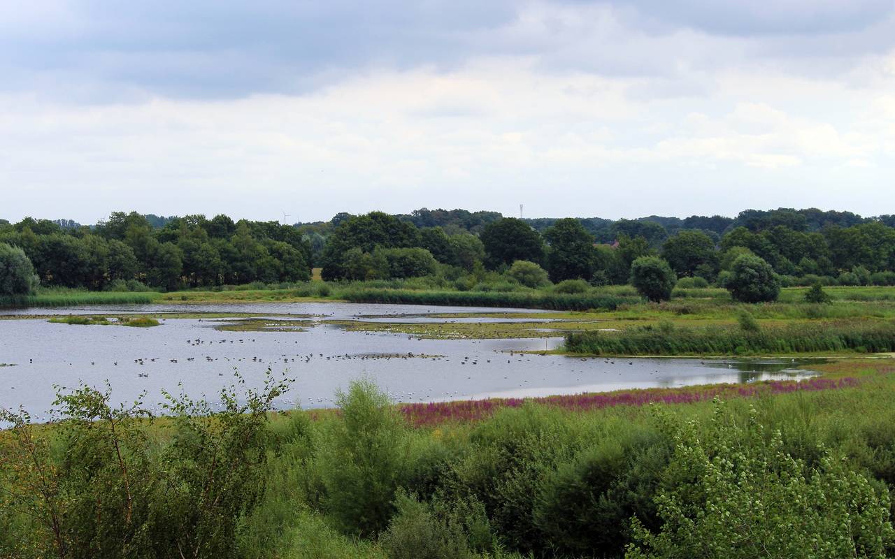 Die Rieselfelder sagen „Willkommen zurück“ Antenne Münster