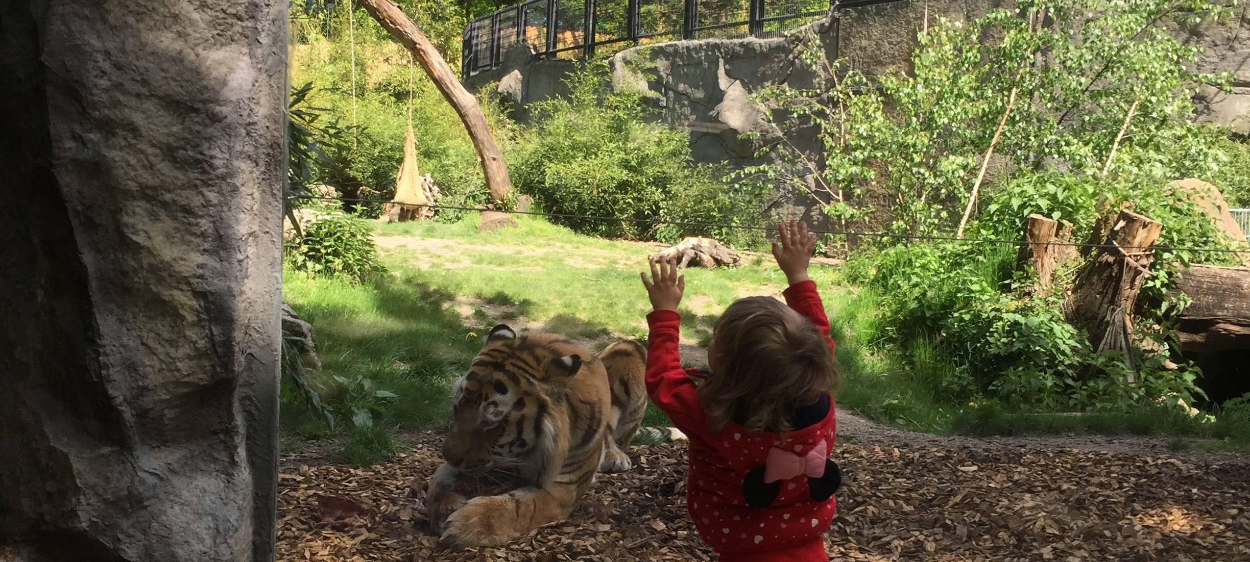 Allwetterzoo wieder offen: 800 Besucher am ersten Tag