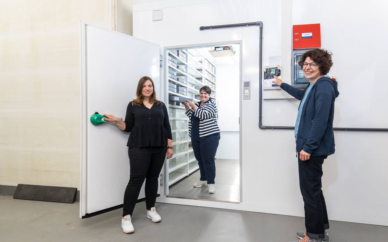 Neue Kuhlzelle Schutzt Wertvolle Negative Antenne Munster