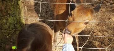 Ausflugsziele rund um Münster
