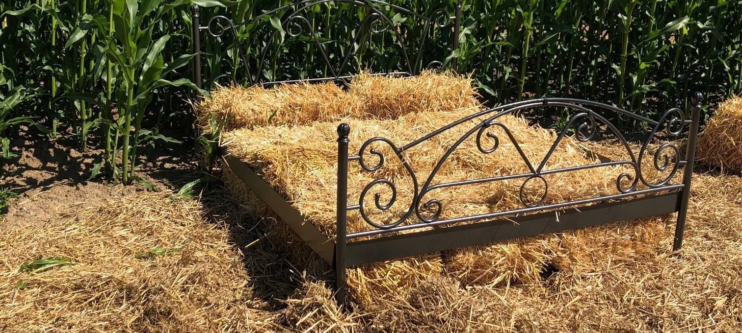 Ausflugsziele rund um Münster