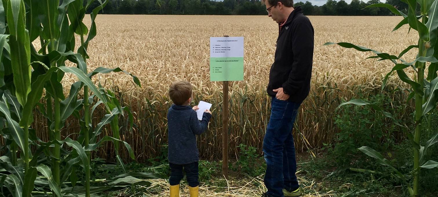 Ausflugsziele rund um Münster