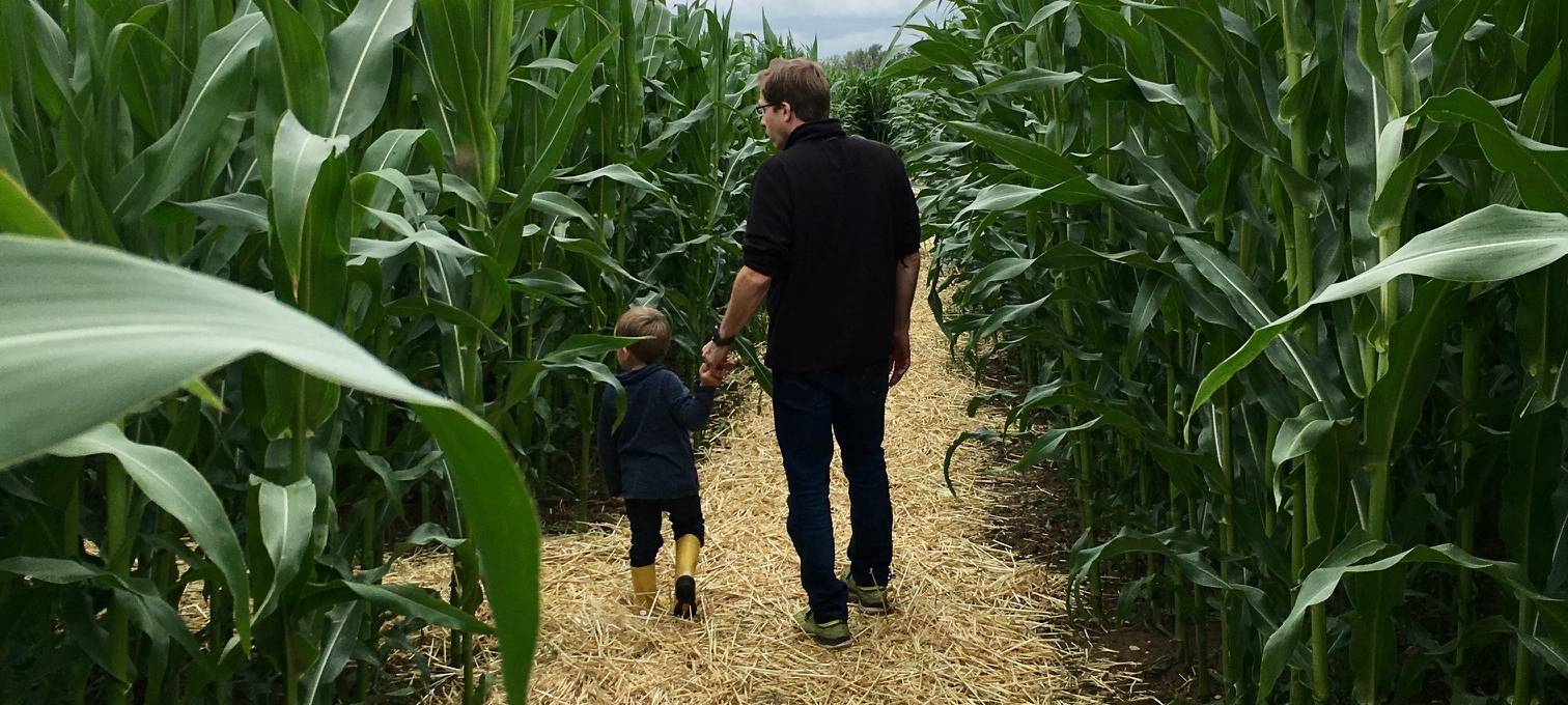 Ausflugsziele rund um Münster