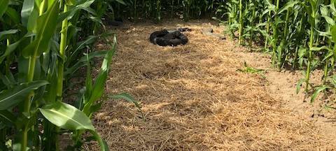 Ausflugsziele rund um Münster