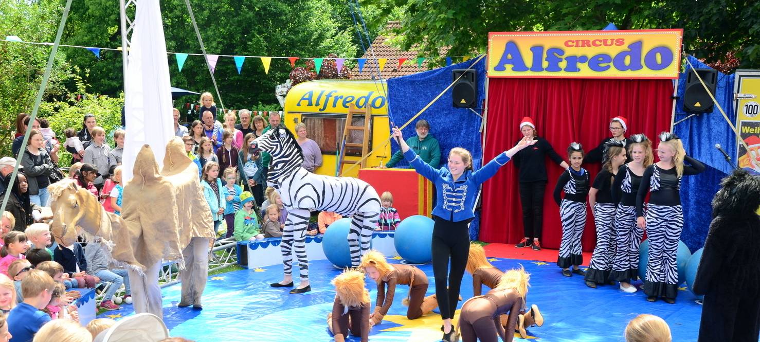 Circus Alfredo