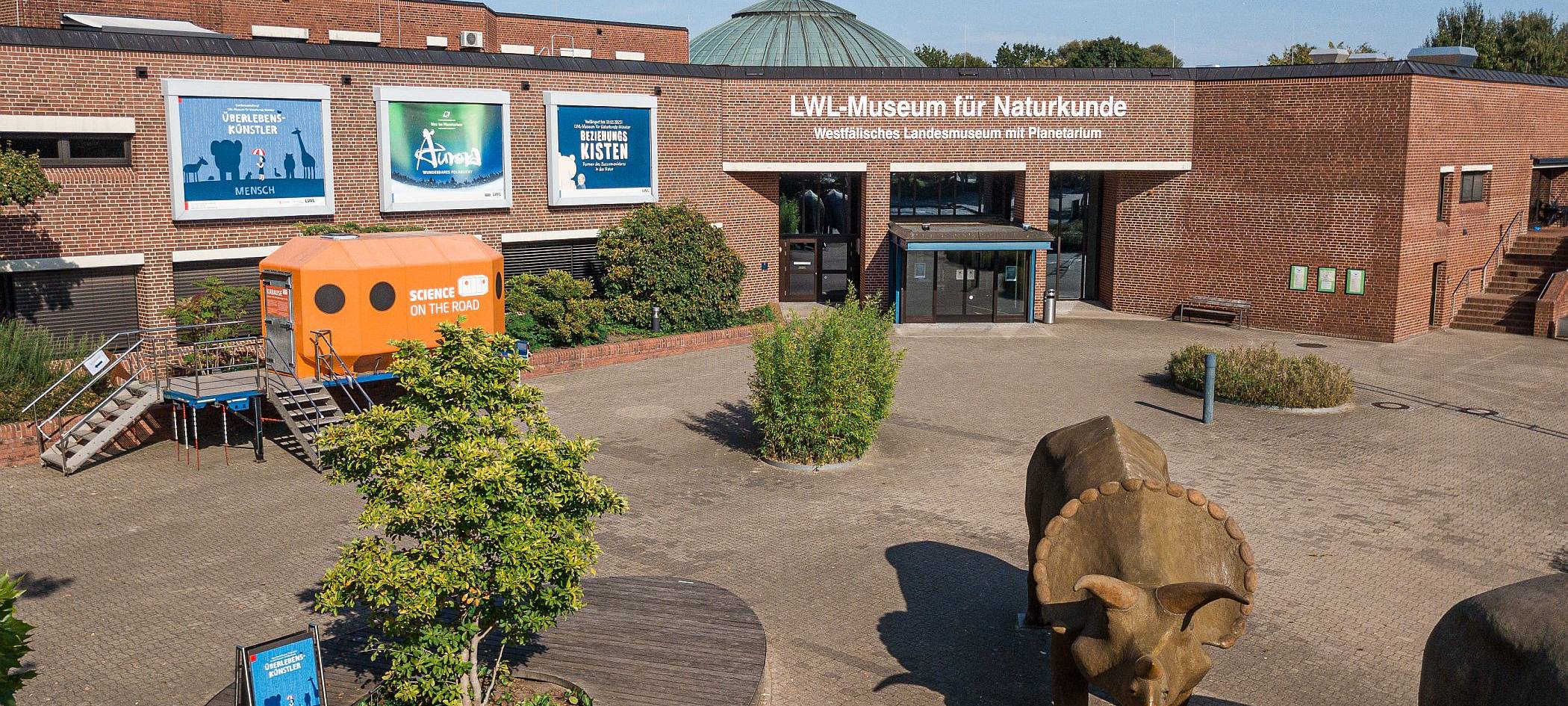 Münsters liebstes Museum