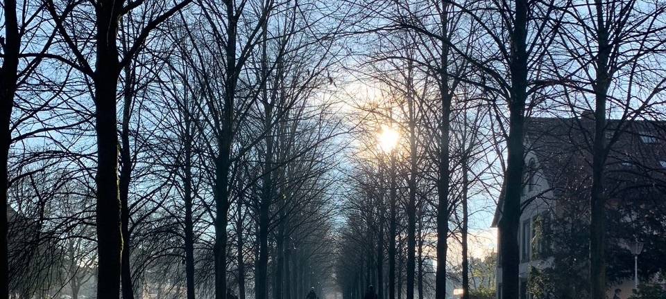 Lockdown in Münster: So lief der erste Tag