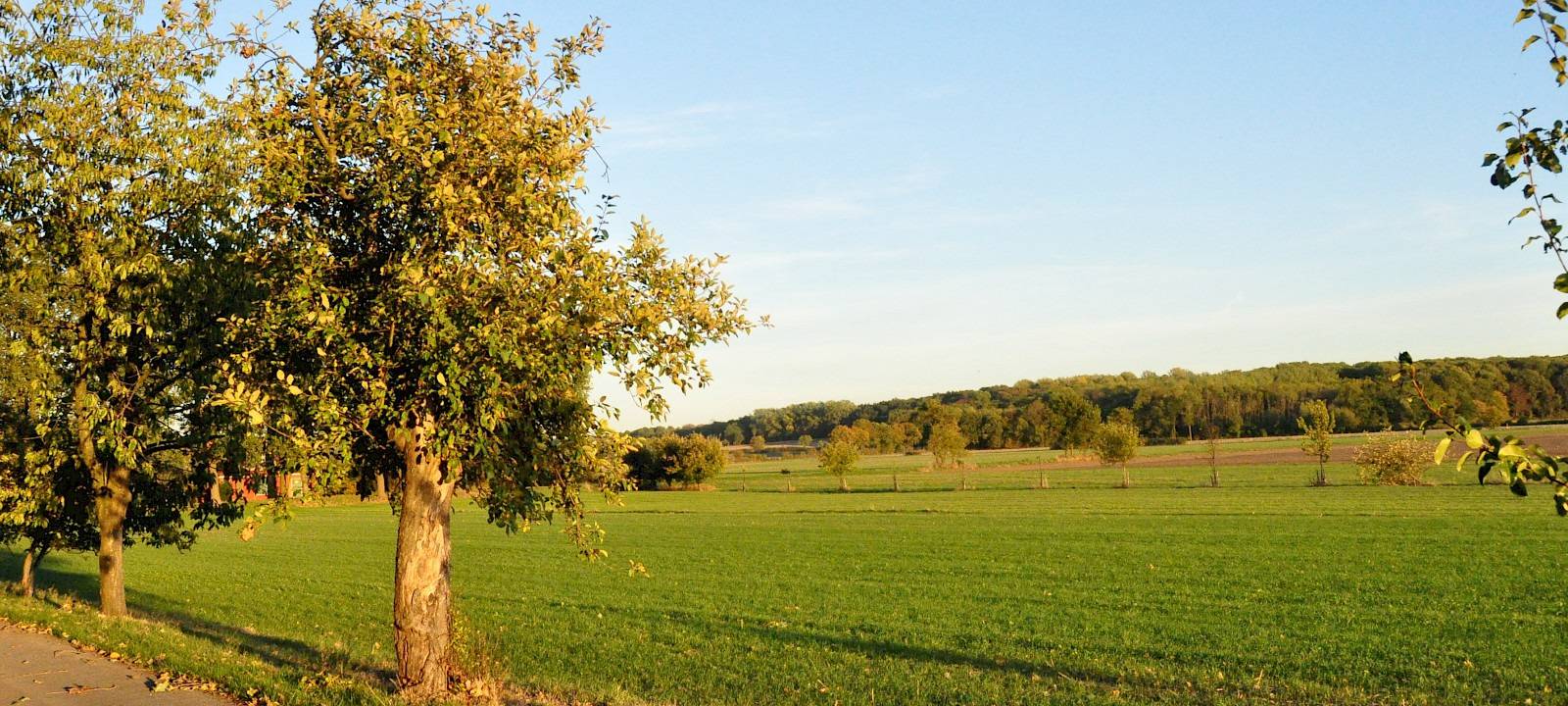 Münsterland ist Klimaland - So können wir mitwirken