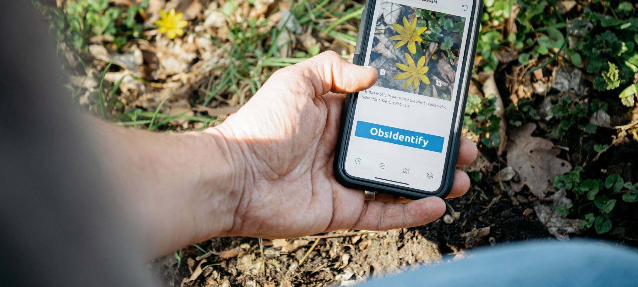 Endspurt beim Bioblitz