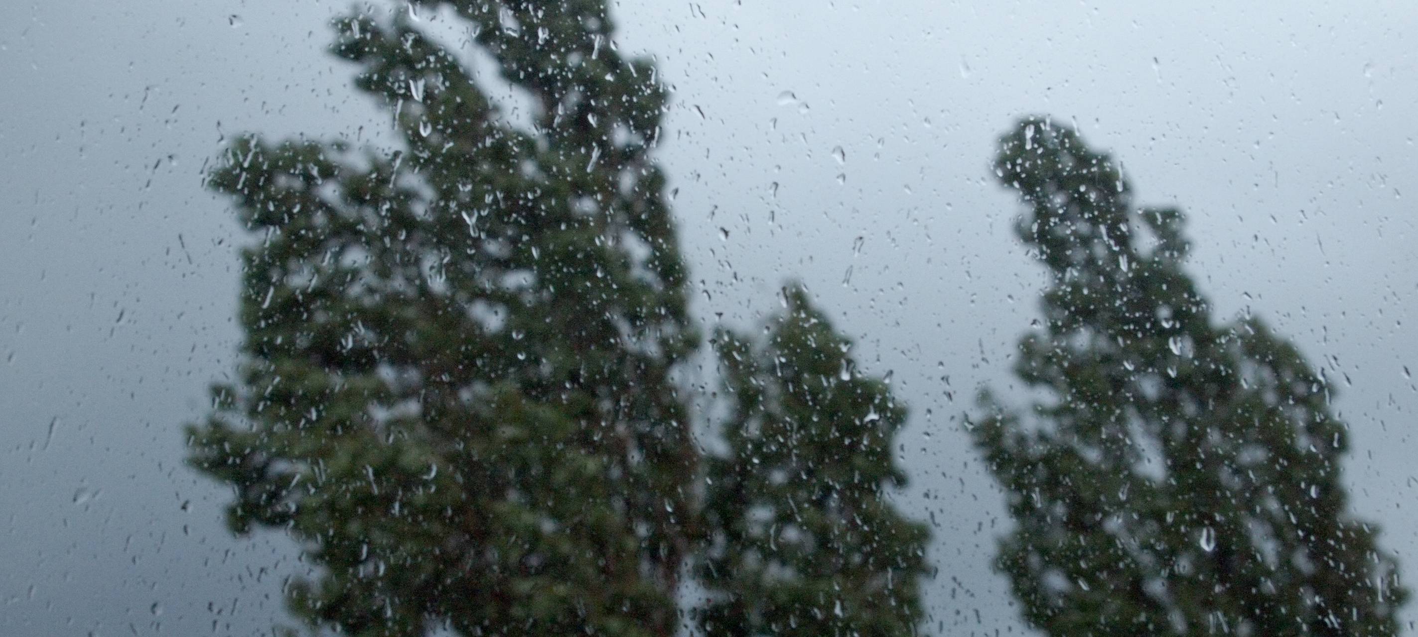 Regen und Sturm in Münster