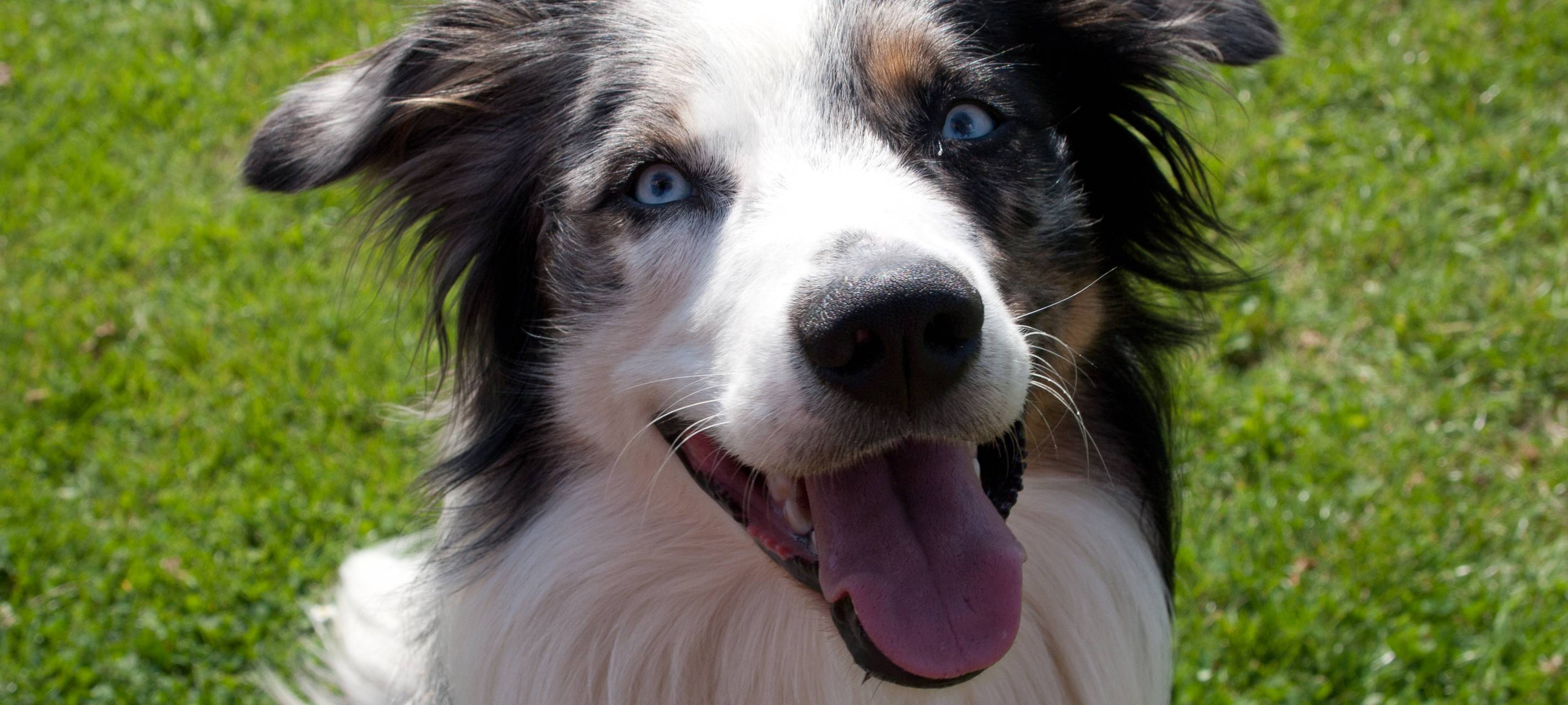 Diese skurrilen Schadenersatzforderungen gingen vor Gericht