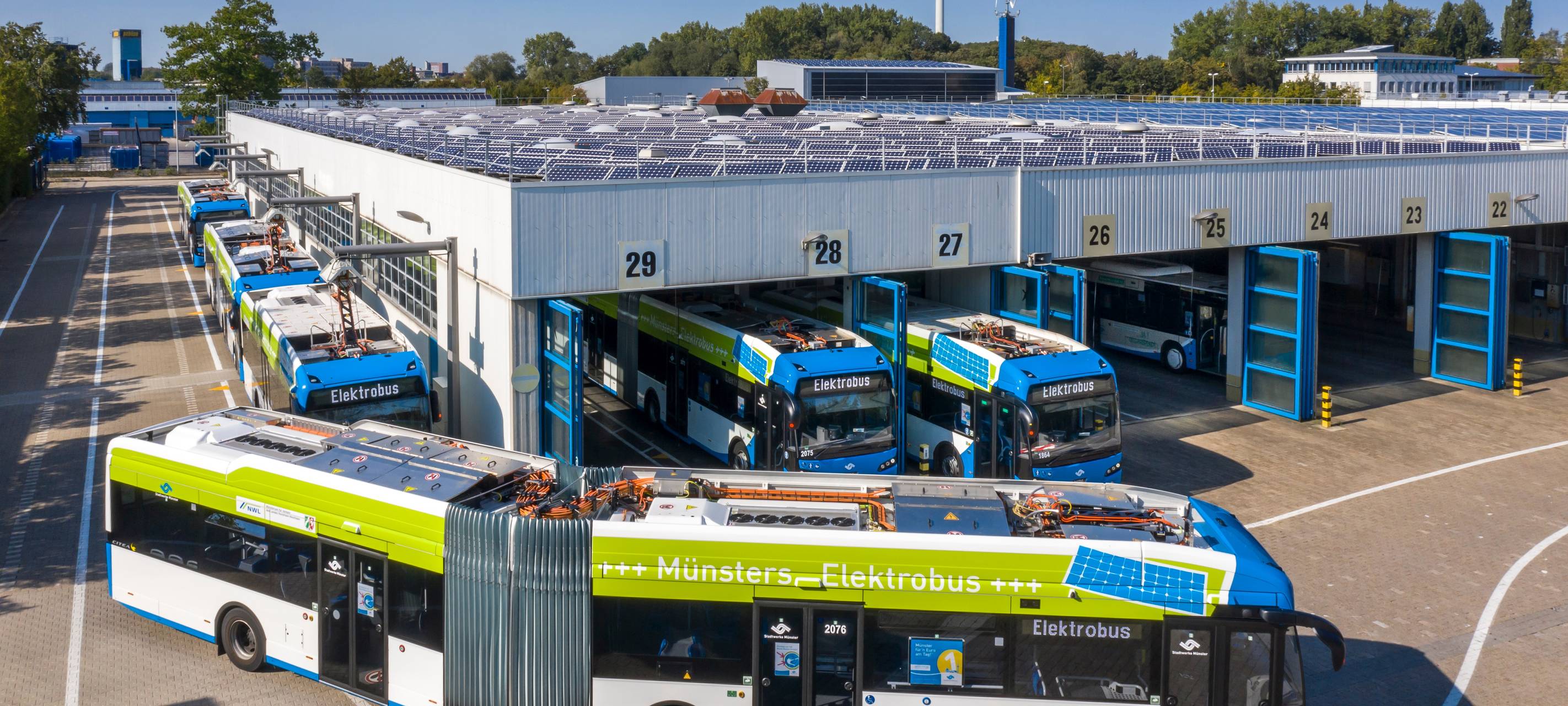 Busfahrer-Streik in Münster