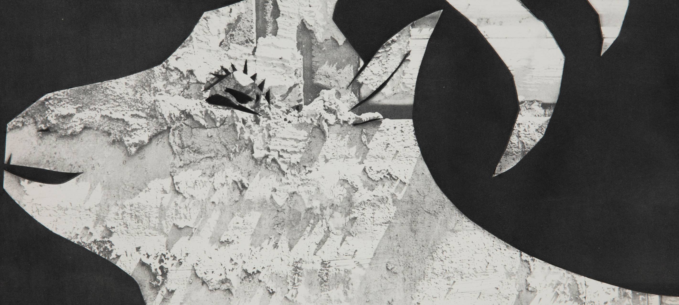 Picasso-Museum eröffnet neue Ausstellungen