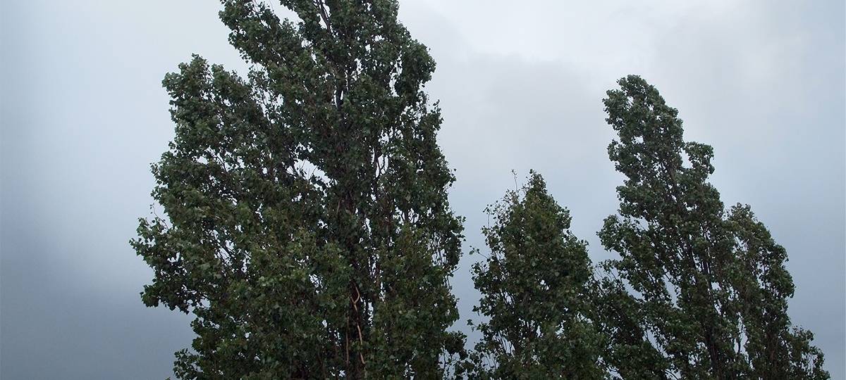Sturm fegt durch Münster
