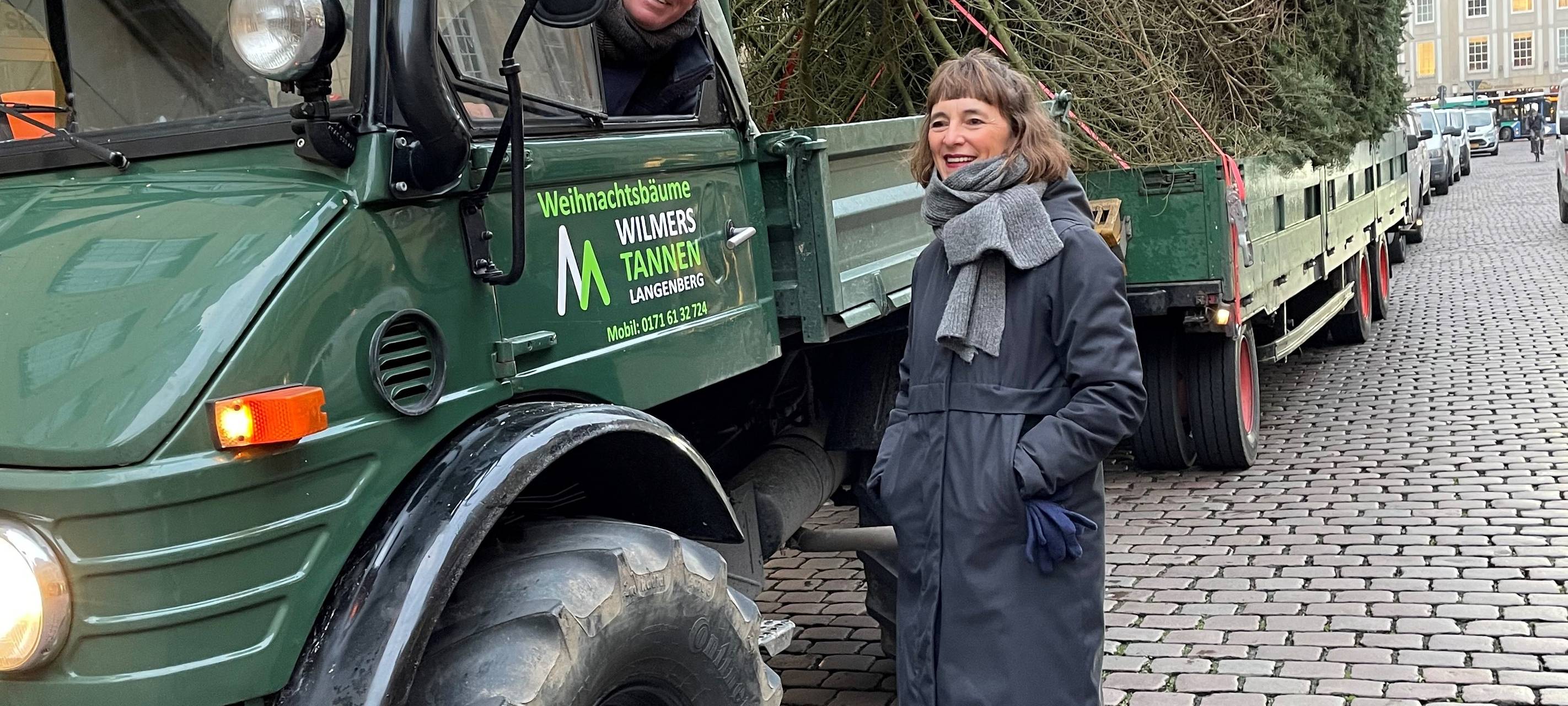 Die Lambertitanne steht