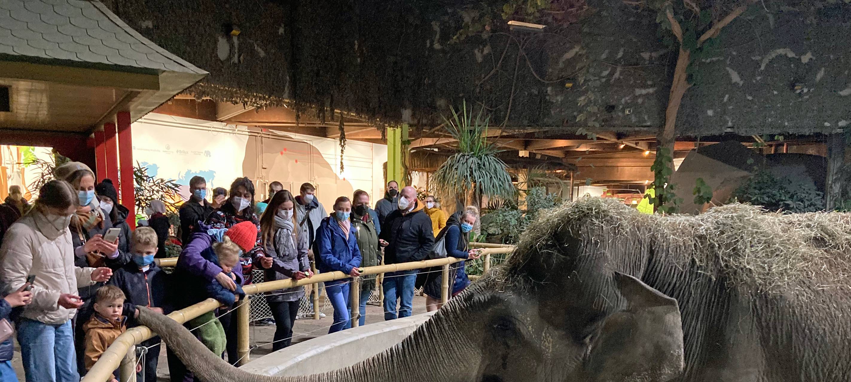 Allwetterzoo in Blau und Gelb