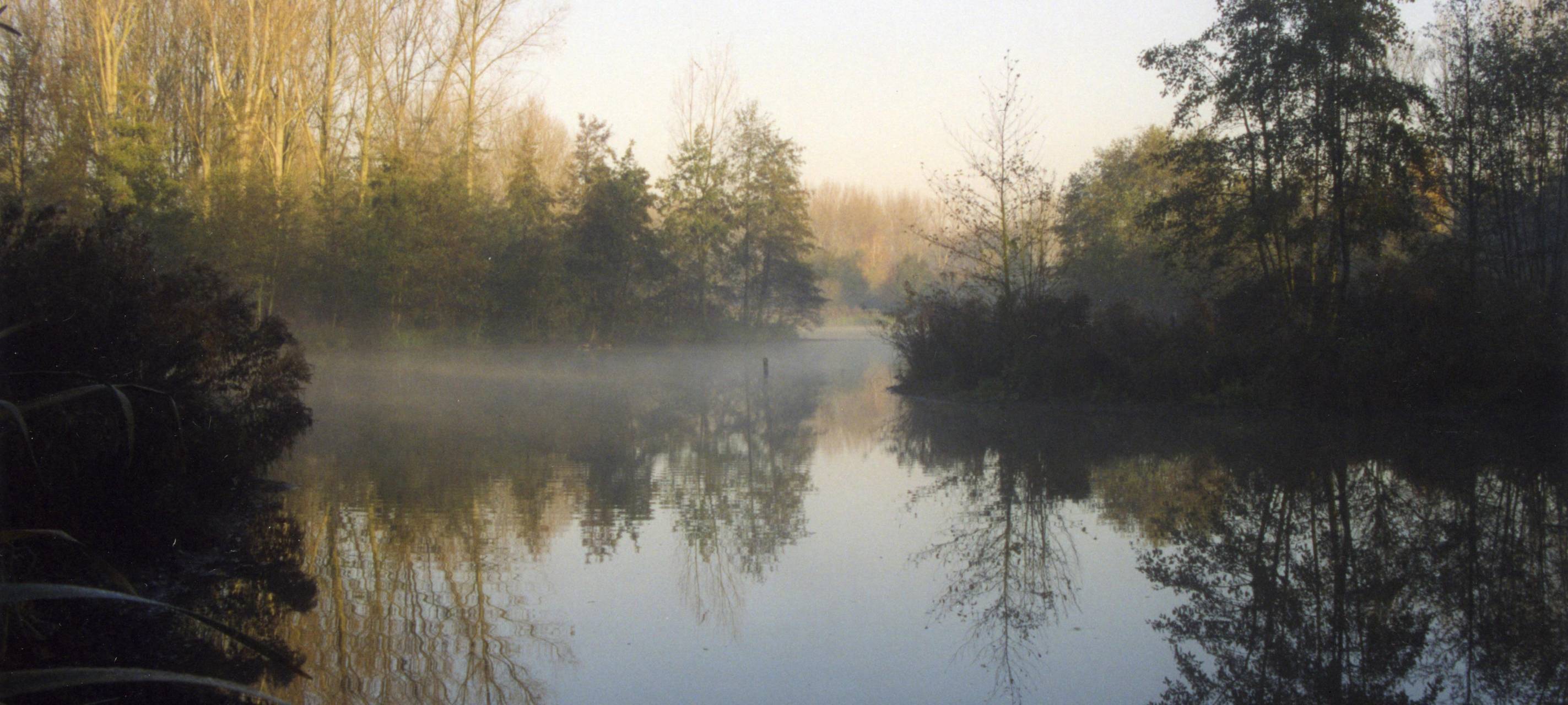 Teiche Wienburgpark werden ökologisch aufgewertet