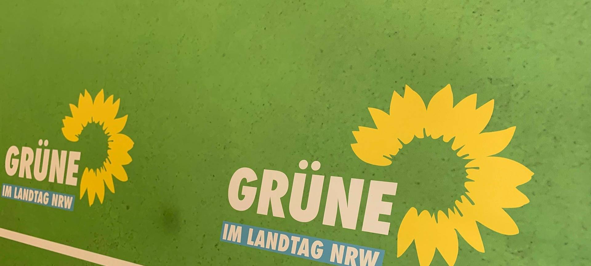 Grüne: In Münster top - sonst oft flop