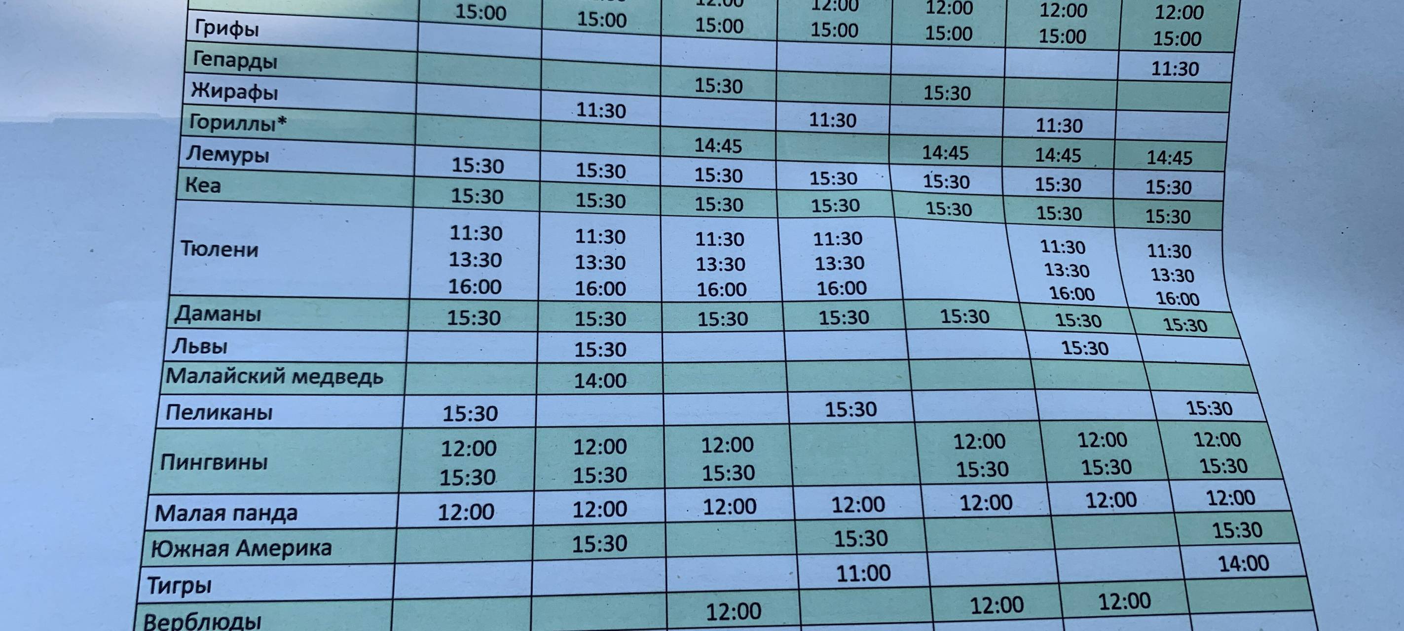 Zoobesuch für 250 Geflüchtete