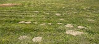 Baseballclub braucht eure Hilfe