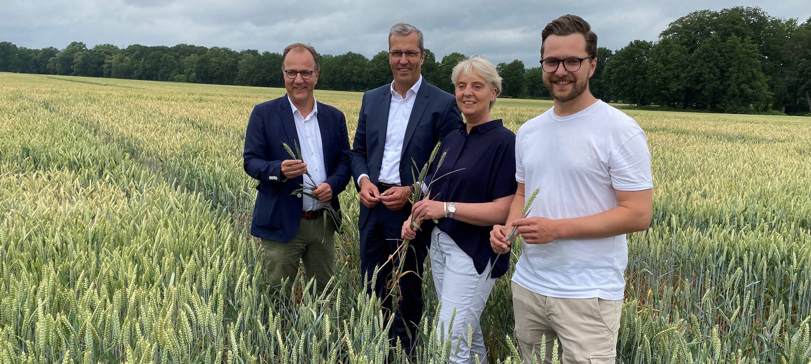 Erntemengen stabil - Preise steigen