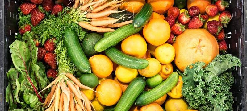 Was tun gegen die Verschwendung von Lebensmitteln?
