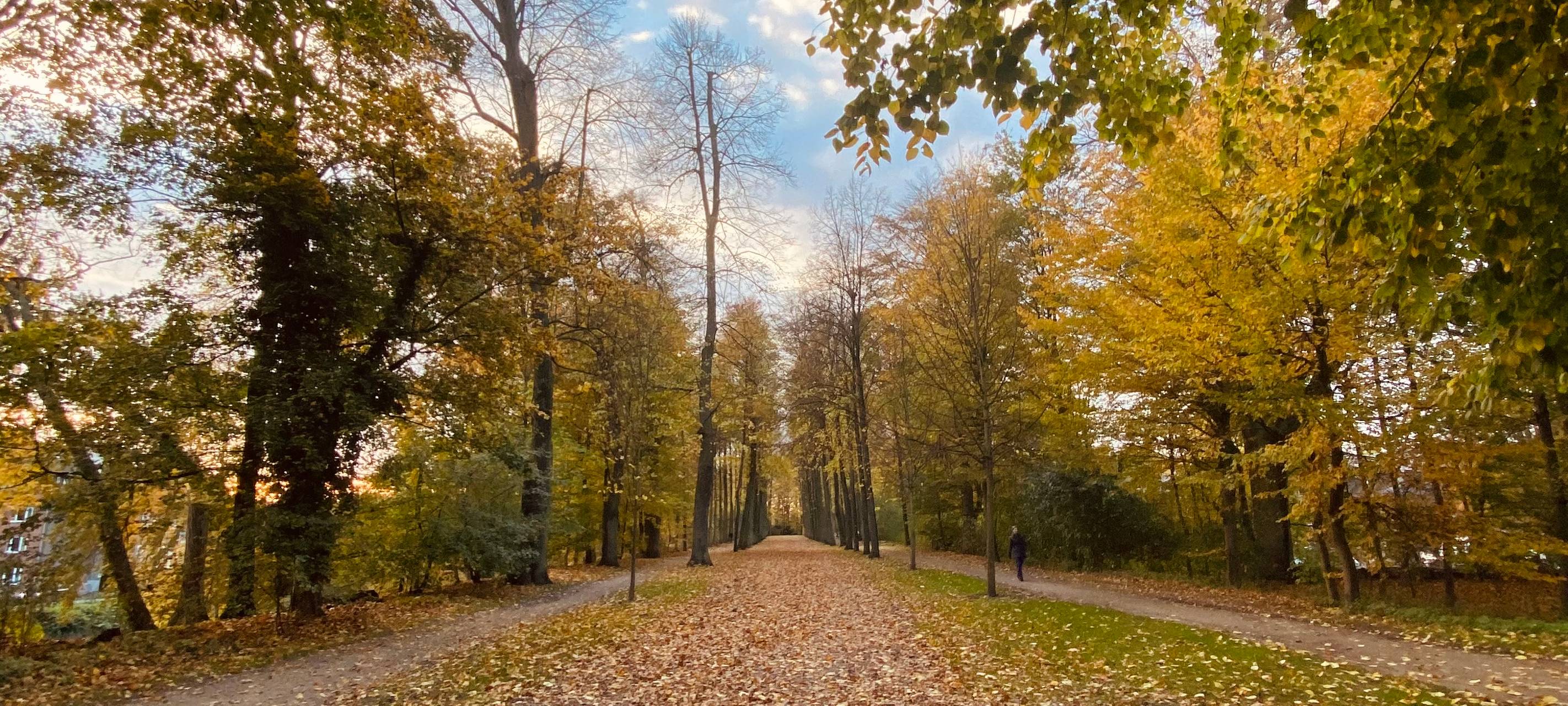 Das Laub muss weg