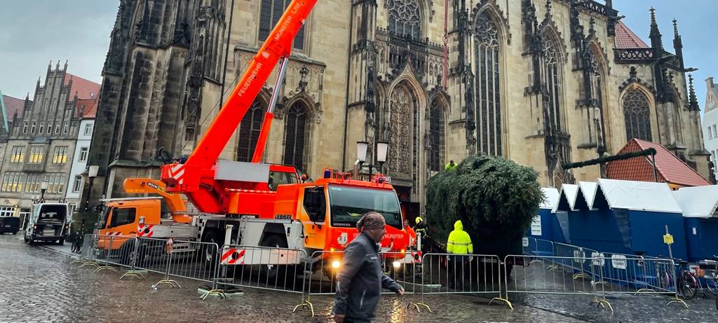 Prinzipalmarkt: Die Tanne ist da