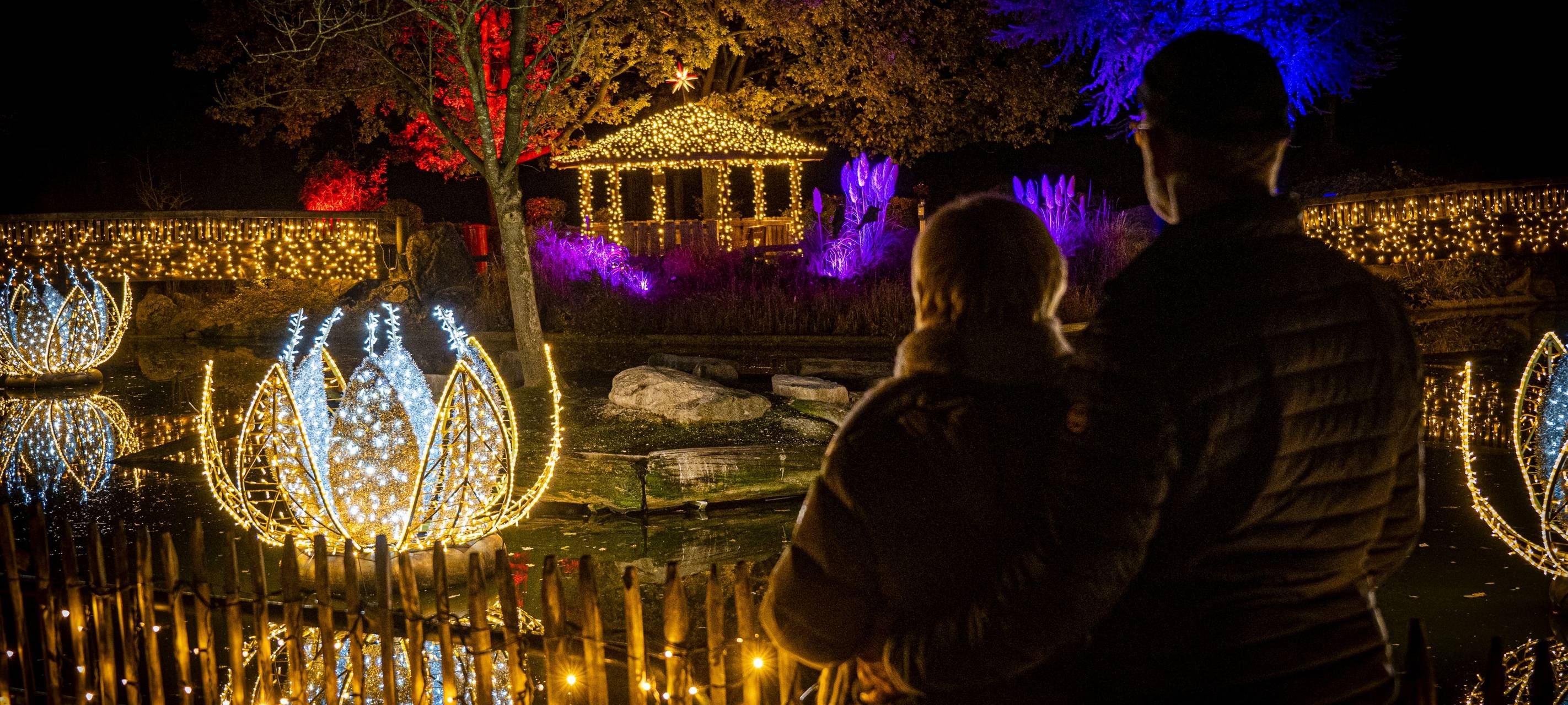 Kein Christmas Garden zu Weihnachten
