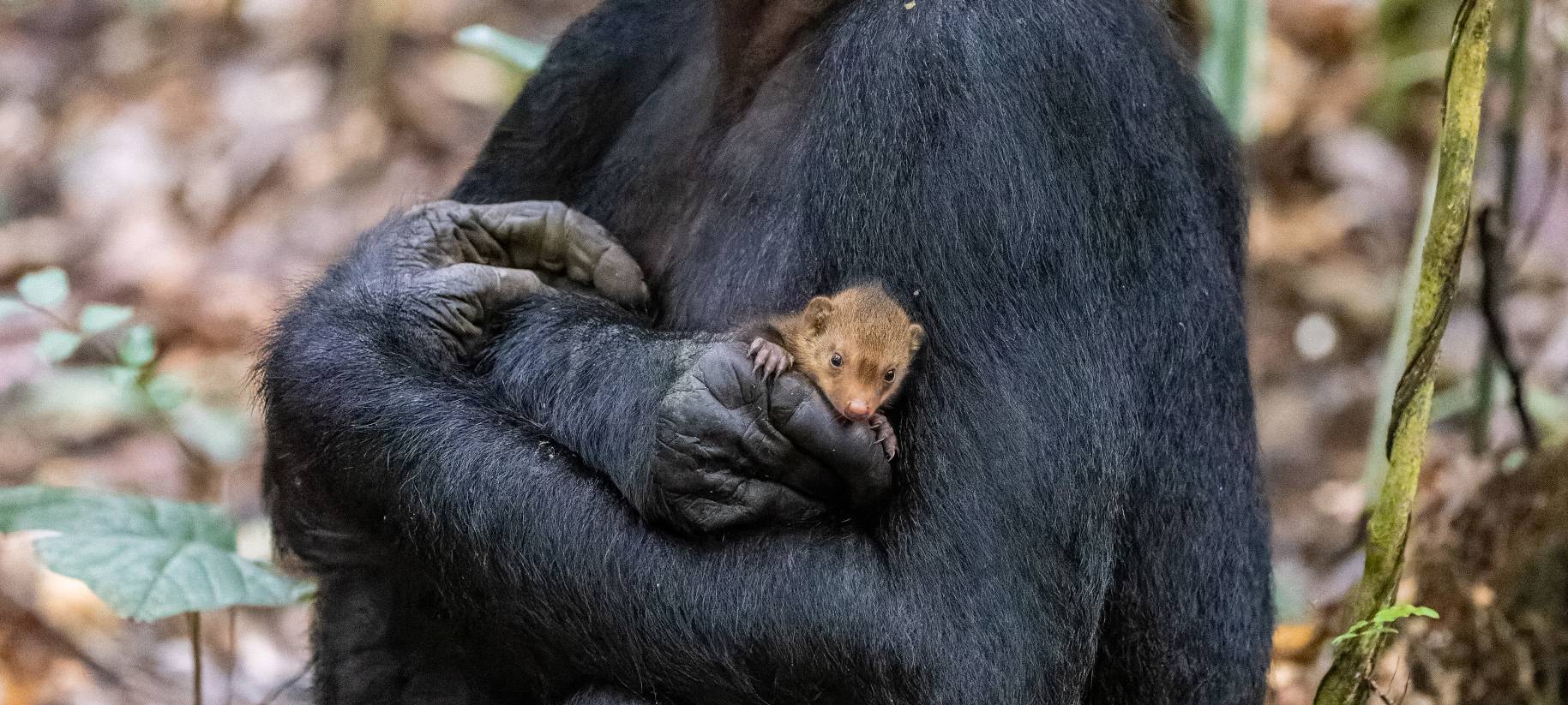 Die besten Naturfotos des Jahres