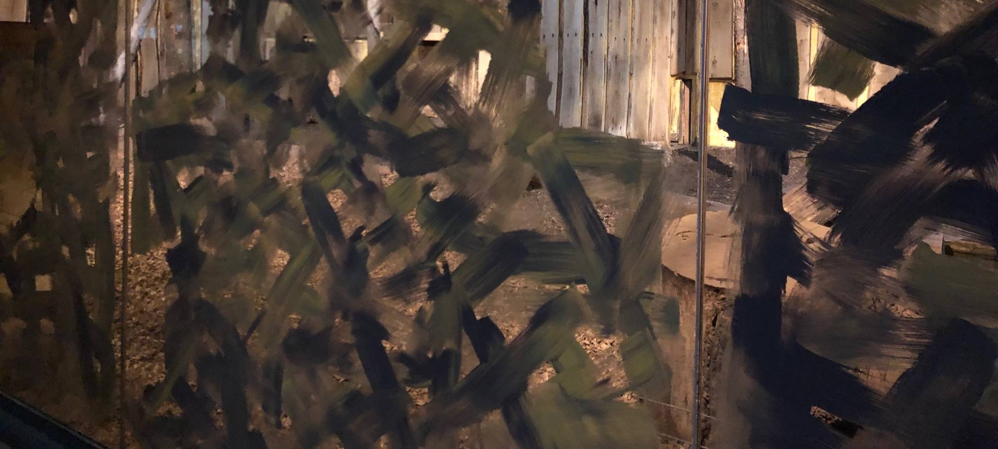 Neue Löwen im Allwetterzoo