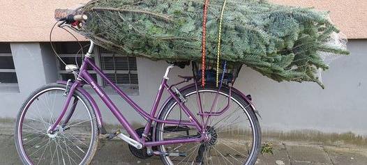 Ein Sofa auf dem Fahrrad? Das geht nur in Münster!
