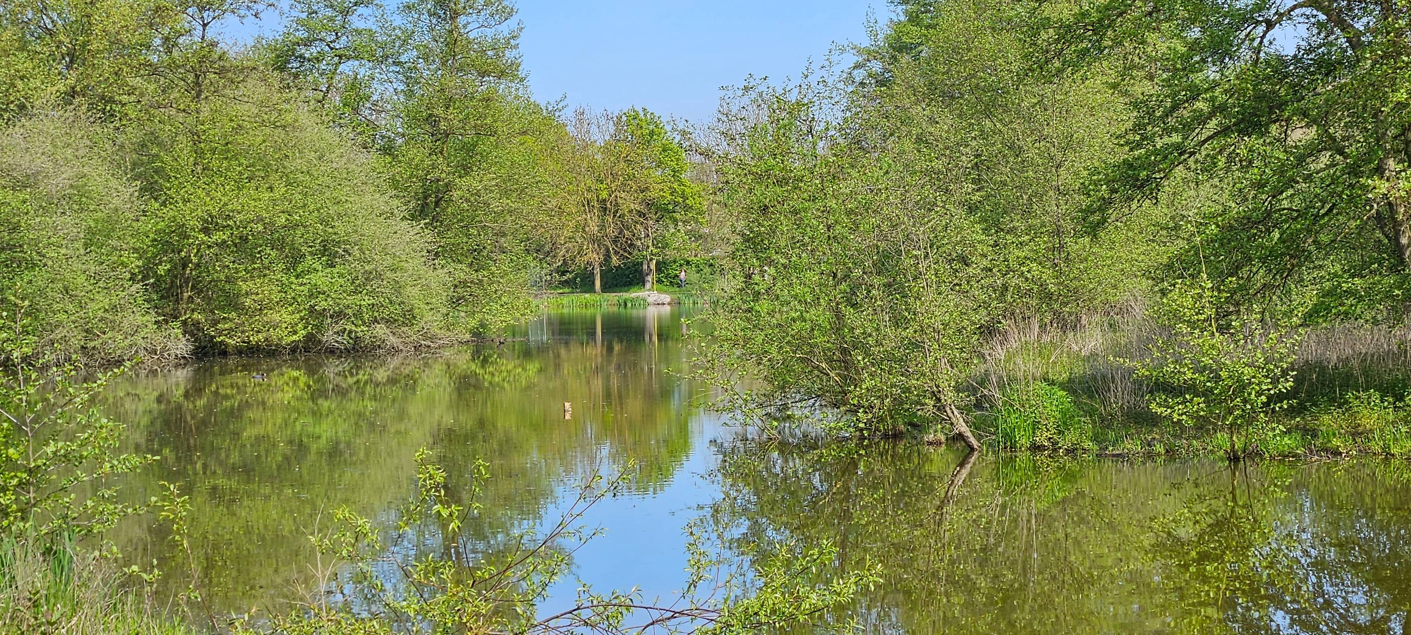 Aufwertung im Wienburgpark