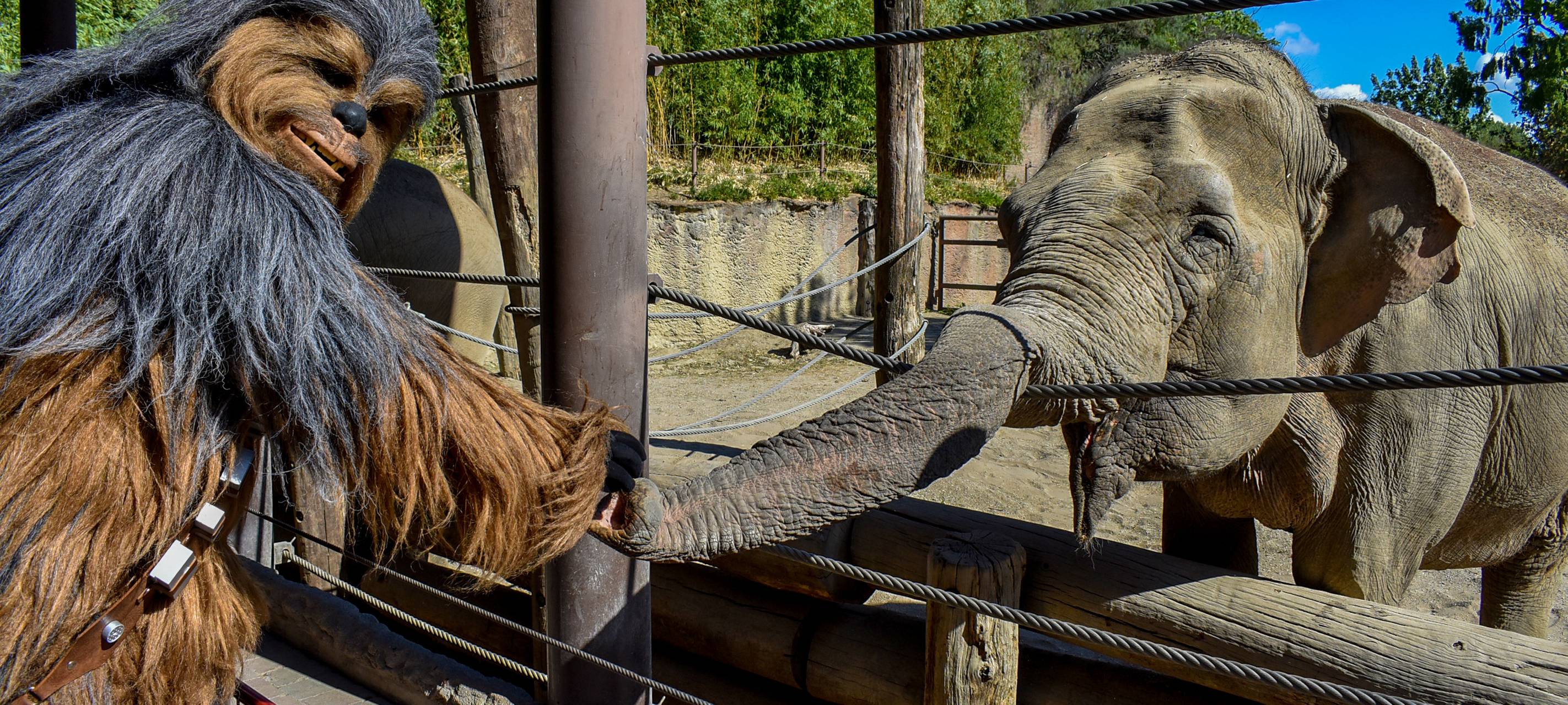 Galaktisches Wochenende im Zoo