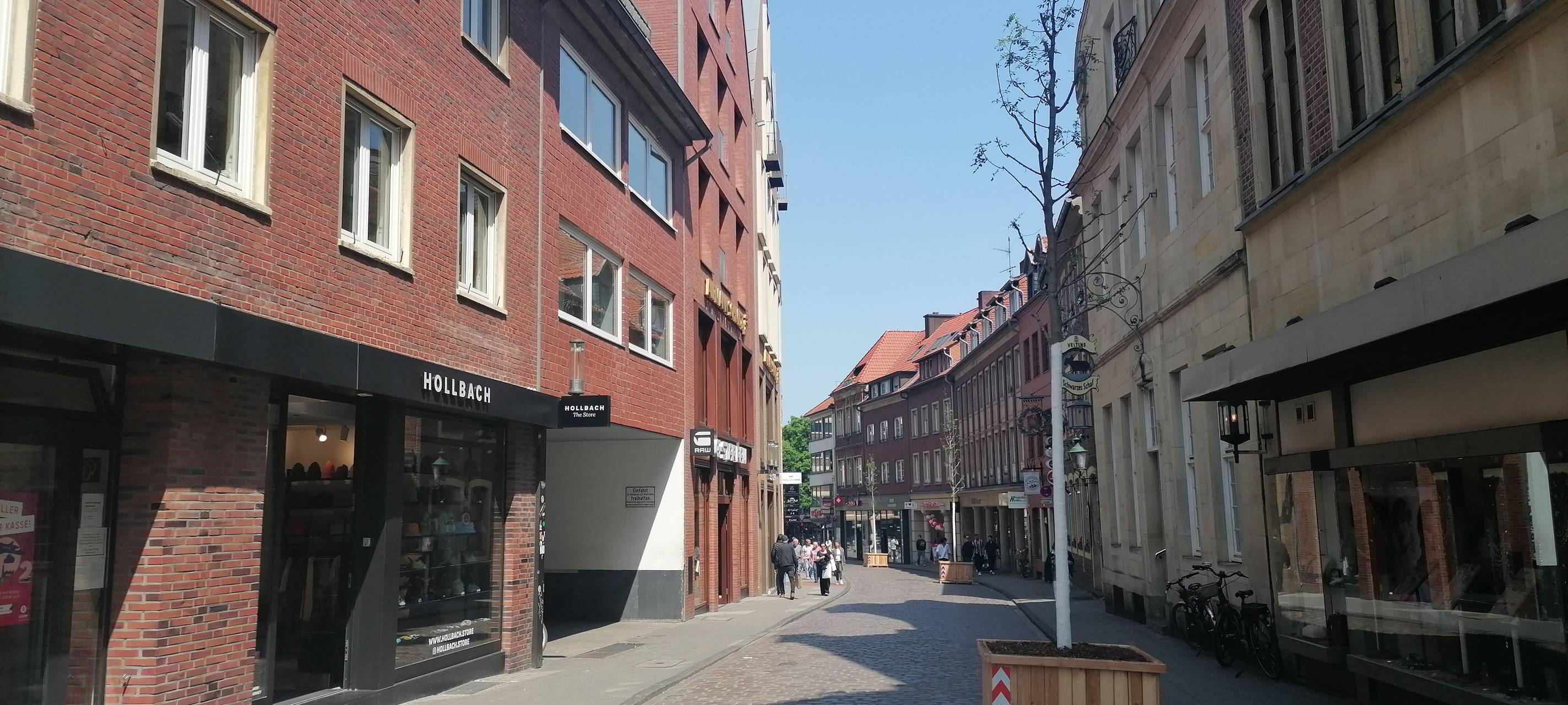 Münsters Innenstadt wird immer grüner
