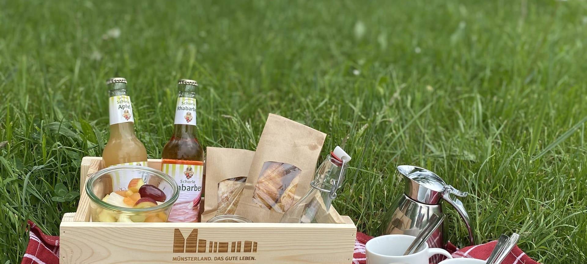 Münsterländer Picknicktage