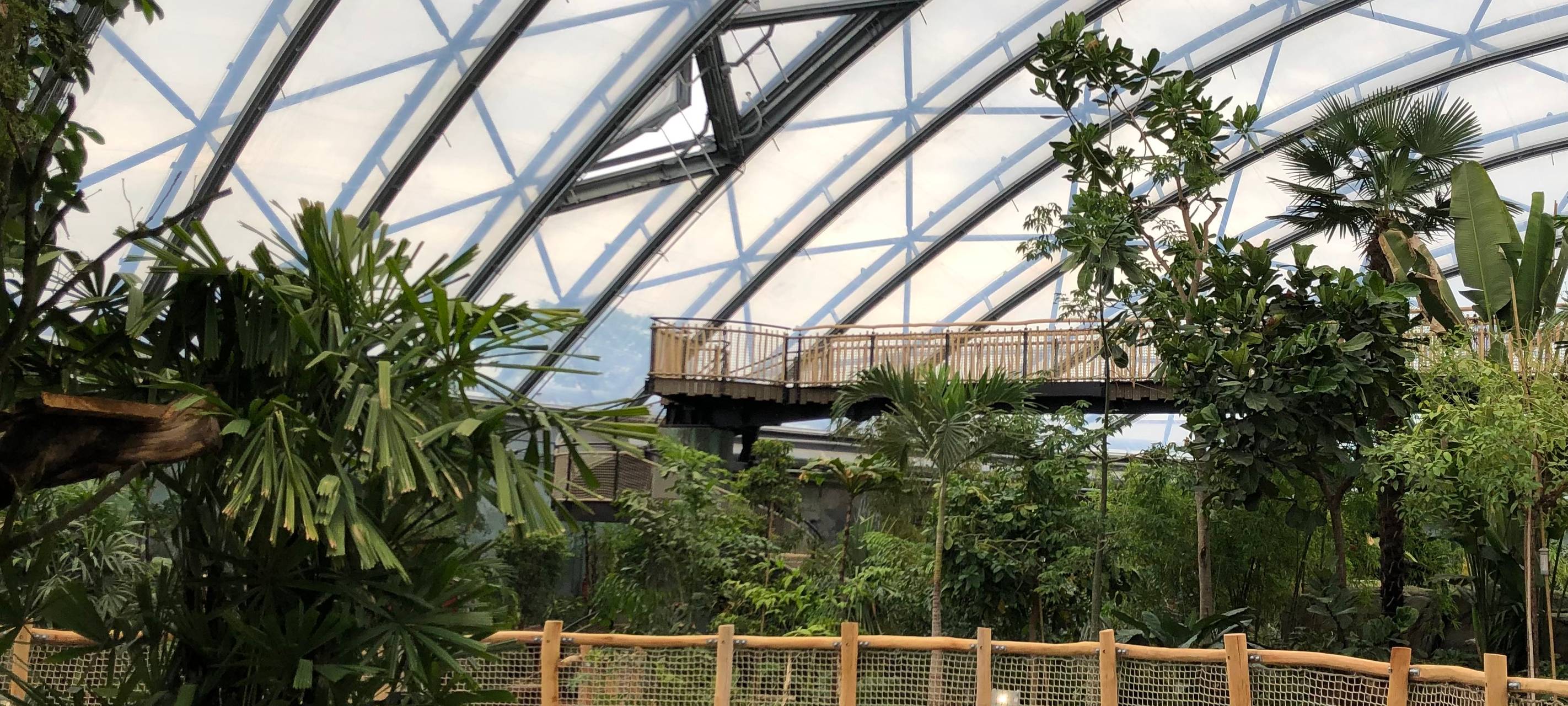 Meranti-Halle begrüßt Besucher