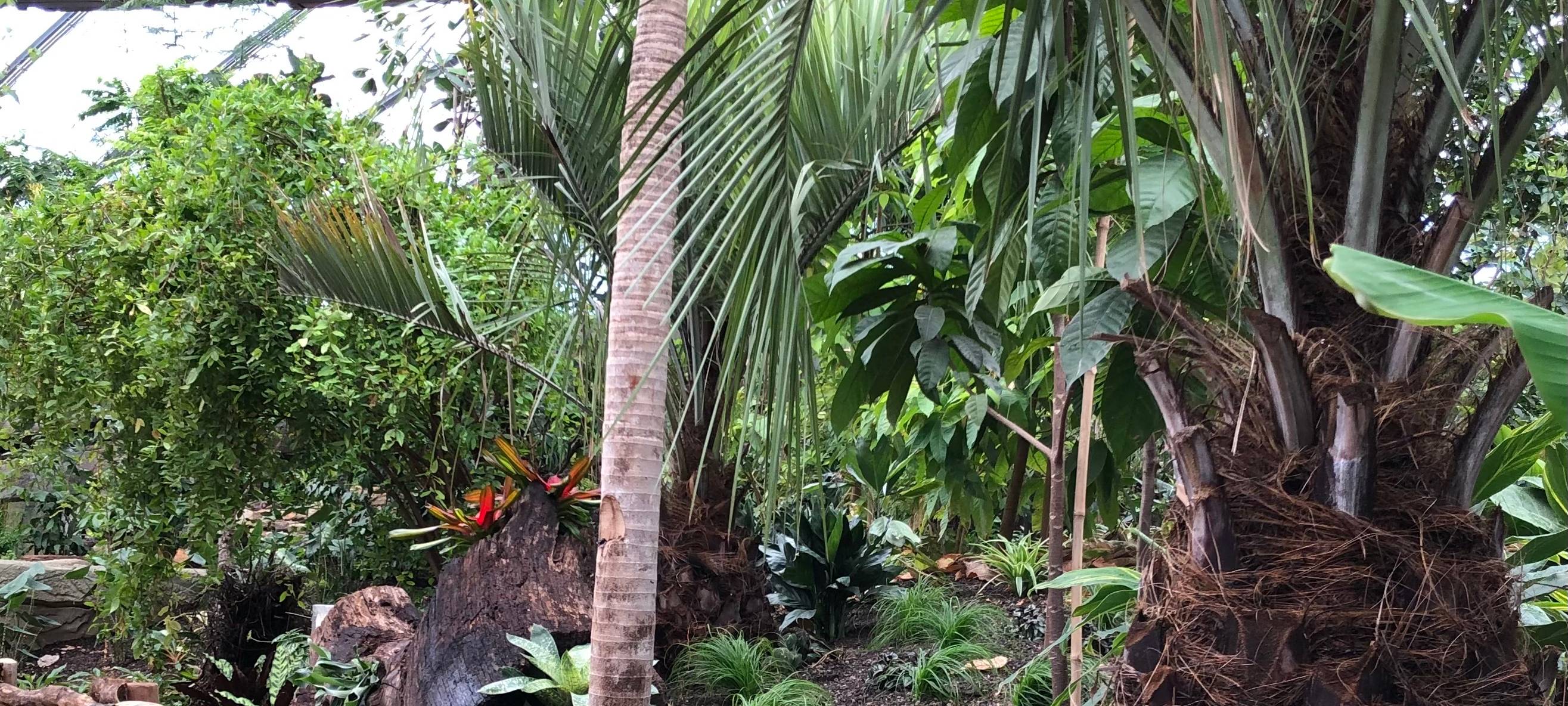 Meranti-Halle begrüßt Besucher