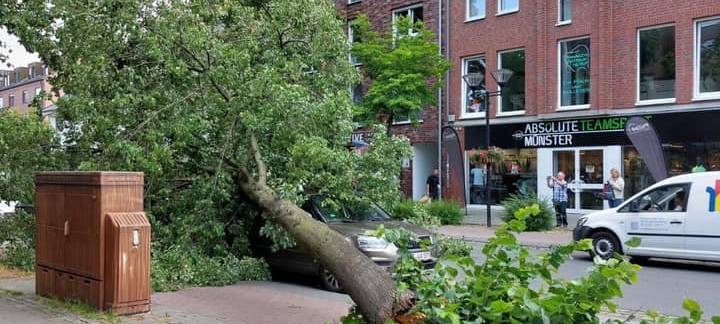 Sturmtief Poly in Münster