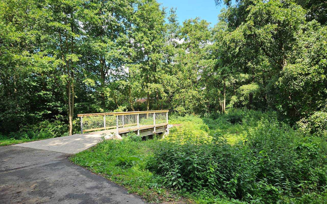 Aufwertung im Wienburgpark Antenne Münster