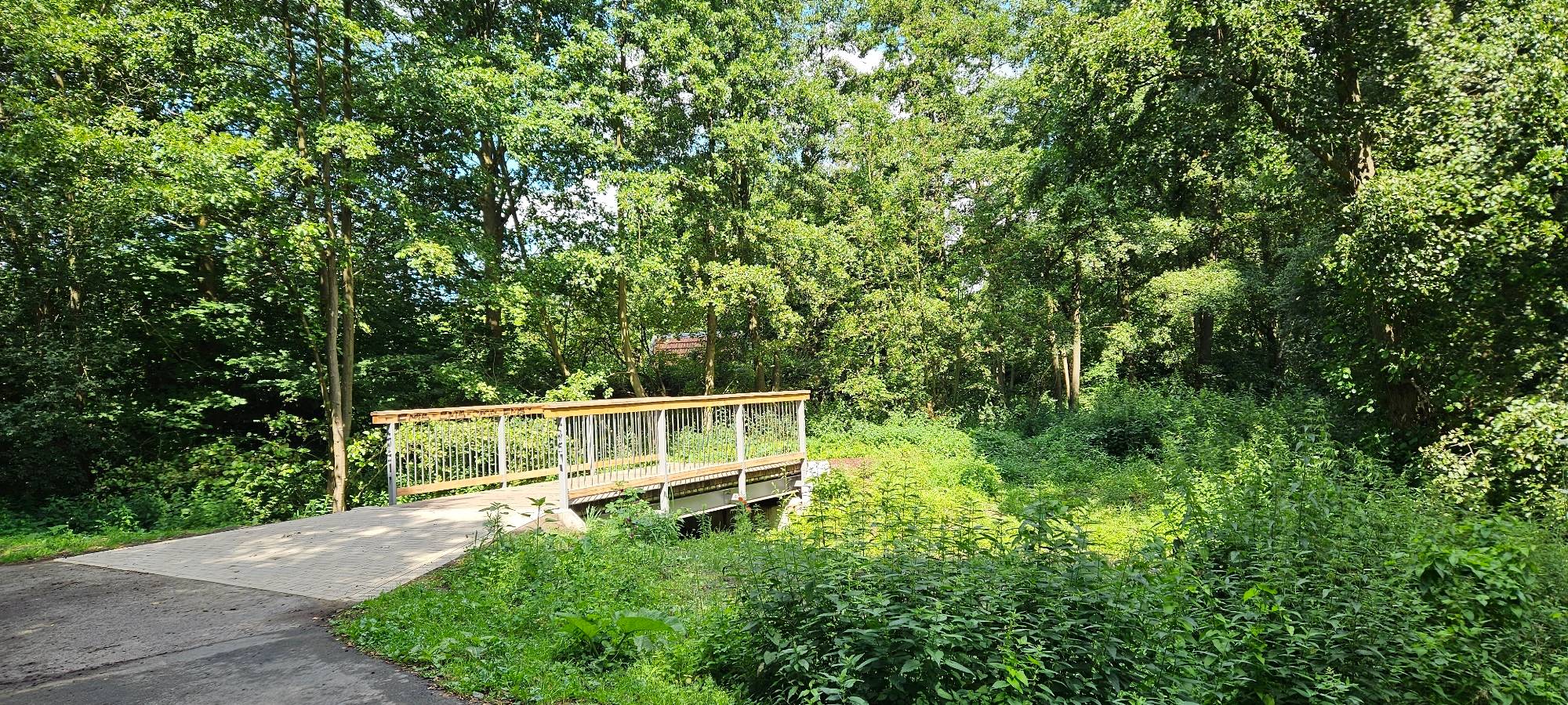 Aufwertung im Wienburgpark