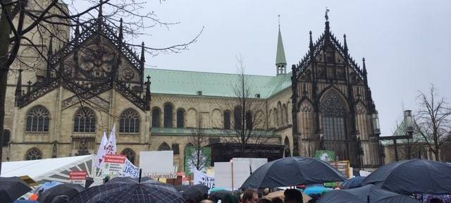 Bauern-Demo auf dem Domplatz