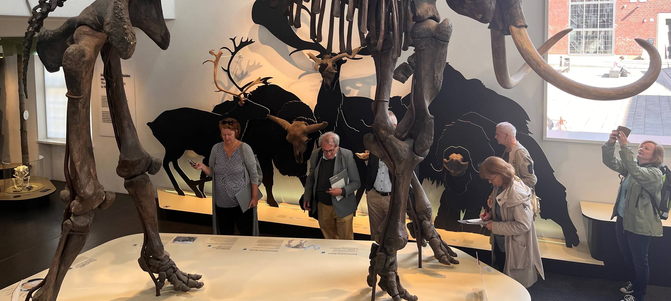 Eröffnung des Geomuseums