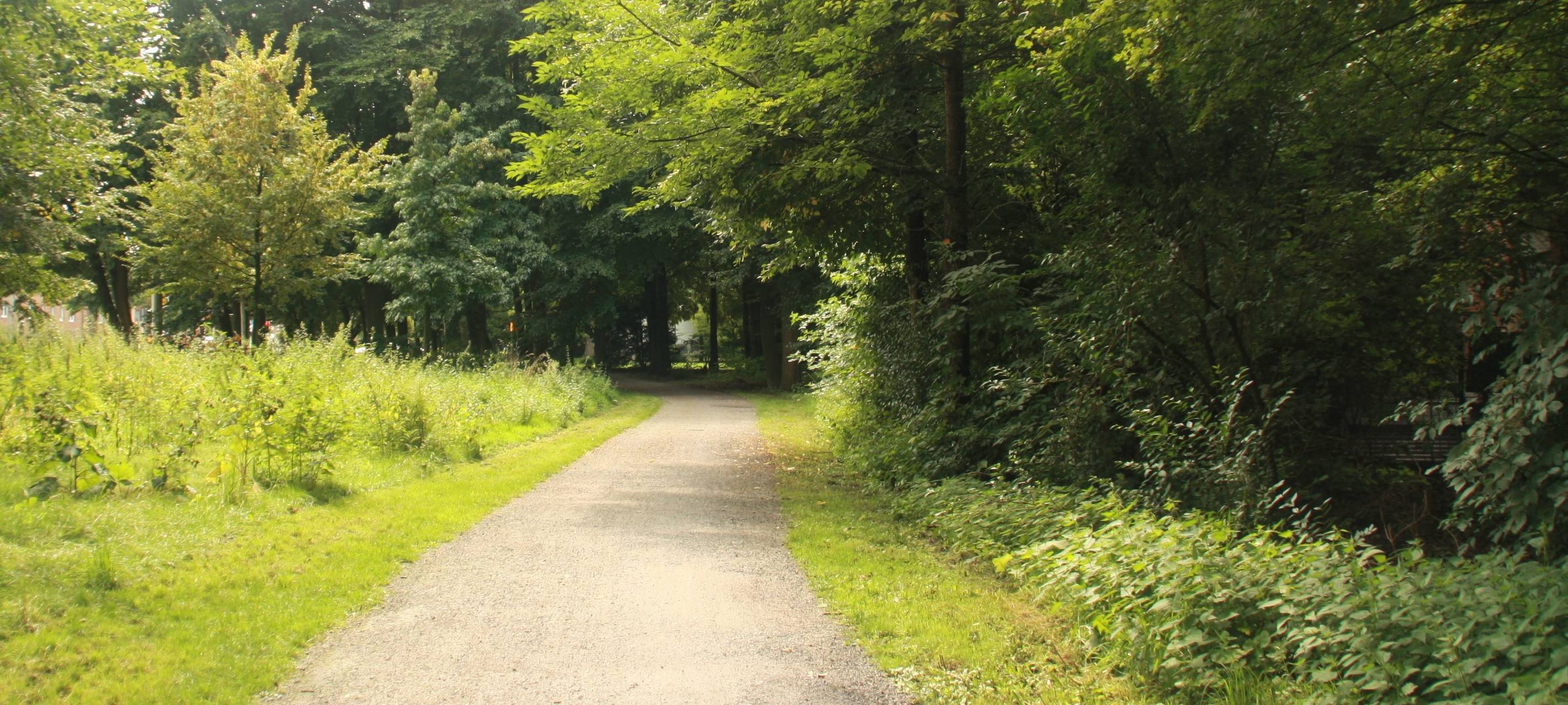 Neuer Raum für Natur-Erfahrung