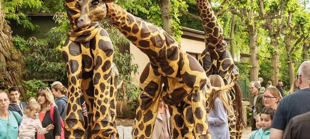 Der Volksbank-Münster-Marathon