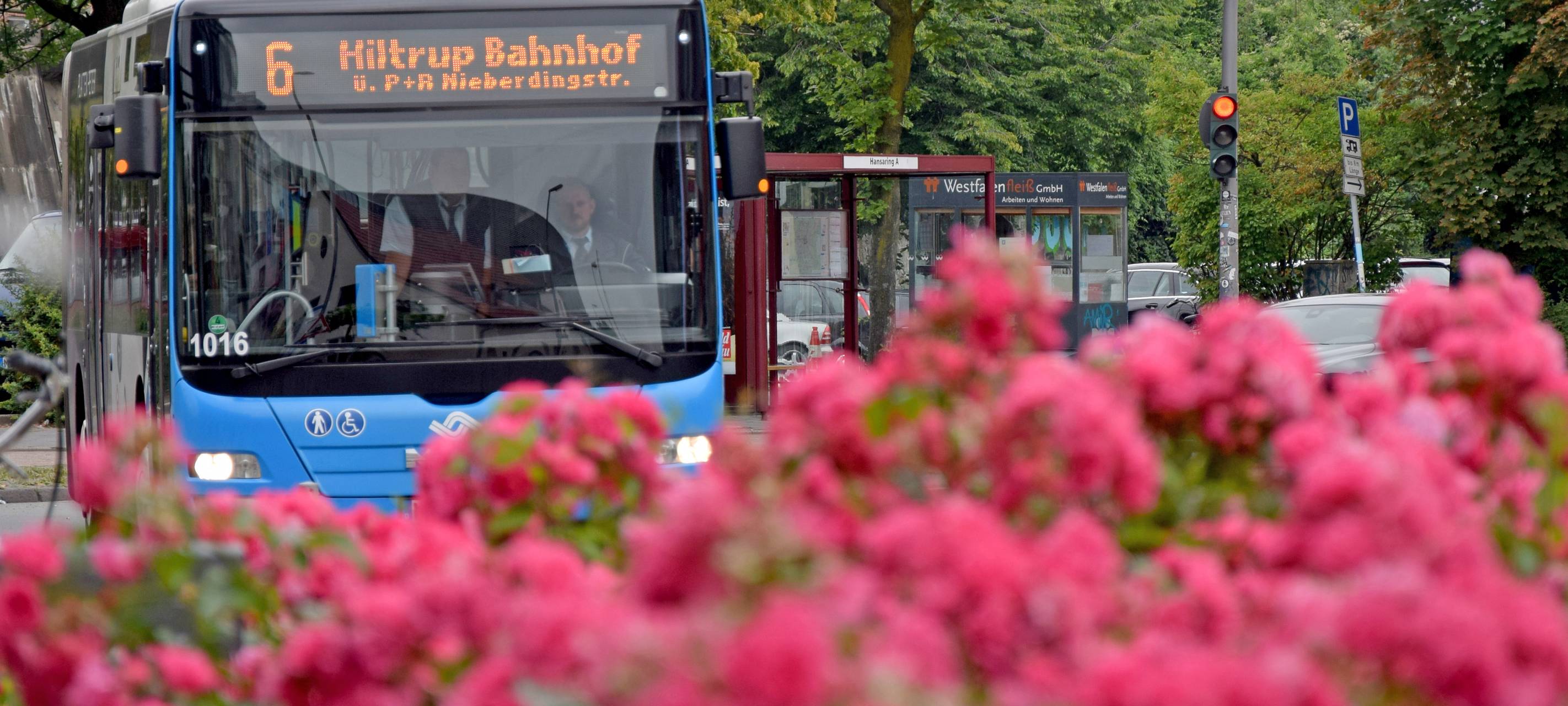 Stadtwerke-Bus Linie 6 im Frühling